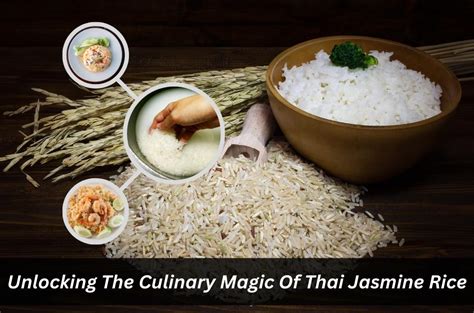  Jasmine Rice: A Culinary Odyssey Through Thai Fields - Unveiling Ancient Wisdom and Modern Practices for Cultivating Thailand's Aromatic Grain